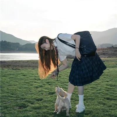 狼皮之下